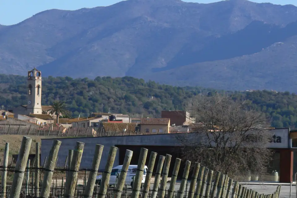A vineyard in the Alt Empordà with the mountains behind