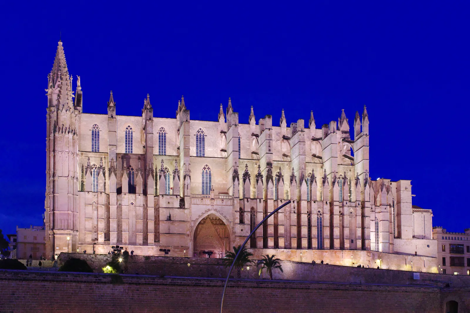 Palma cathedral lit up at dusk