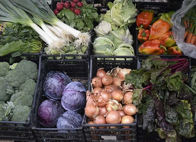 Dia de Mercado de la Camara Agraria — photo 1