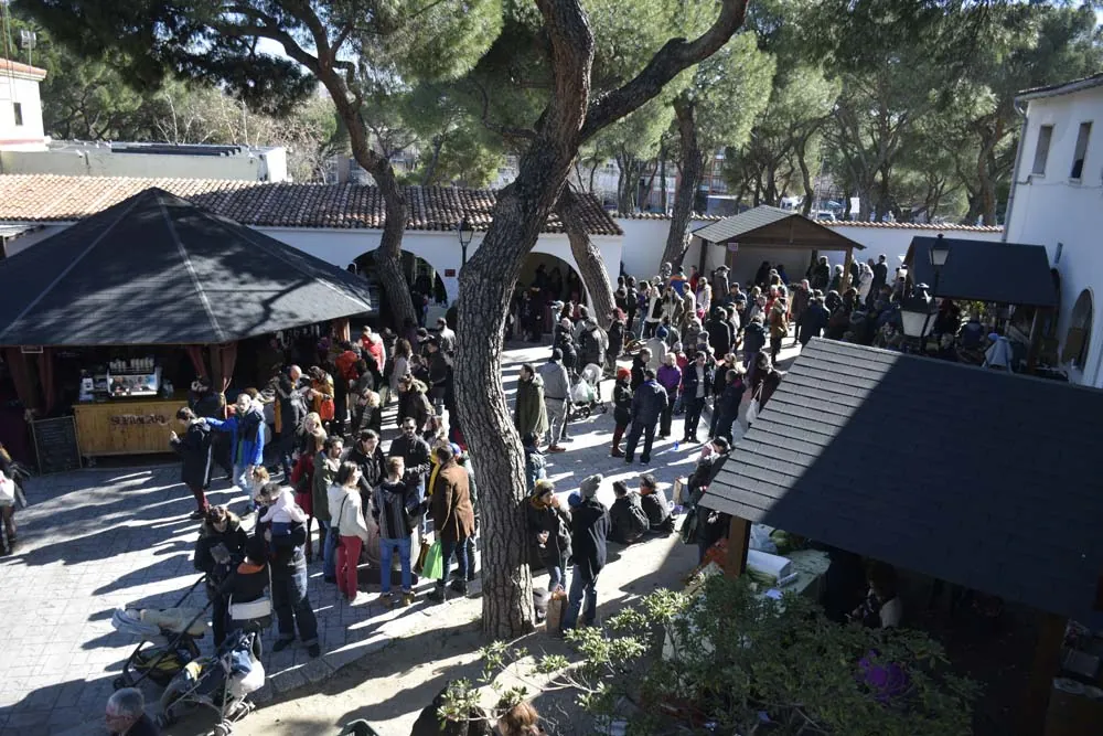 Shoppers crowding the stalls of the open-air market under pine trees at the Cámara Agraria grounds