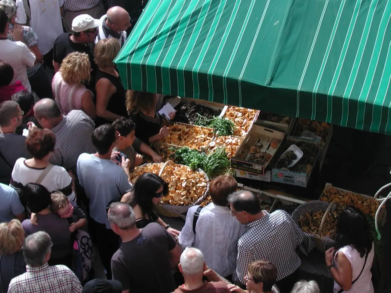 Fira del Bolet de Llagostera mushroom market stalls
