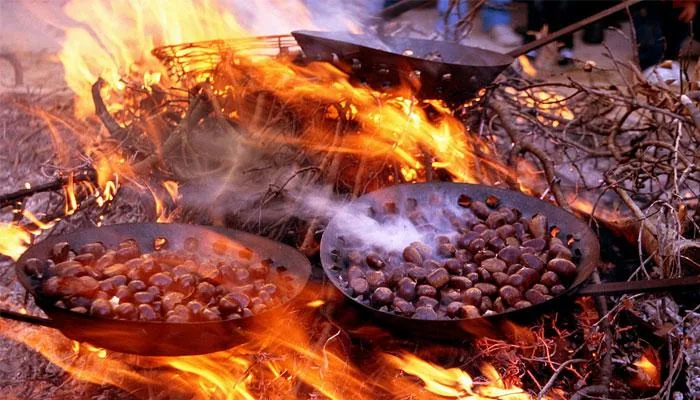 Chestnuts roasting over an open fire at Fira de la Castanya in Viladrau