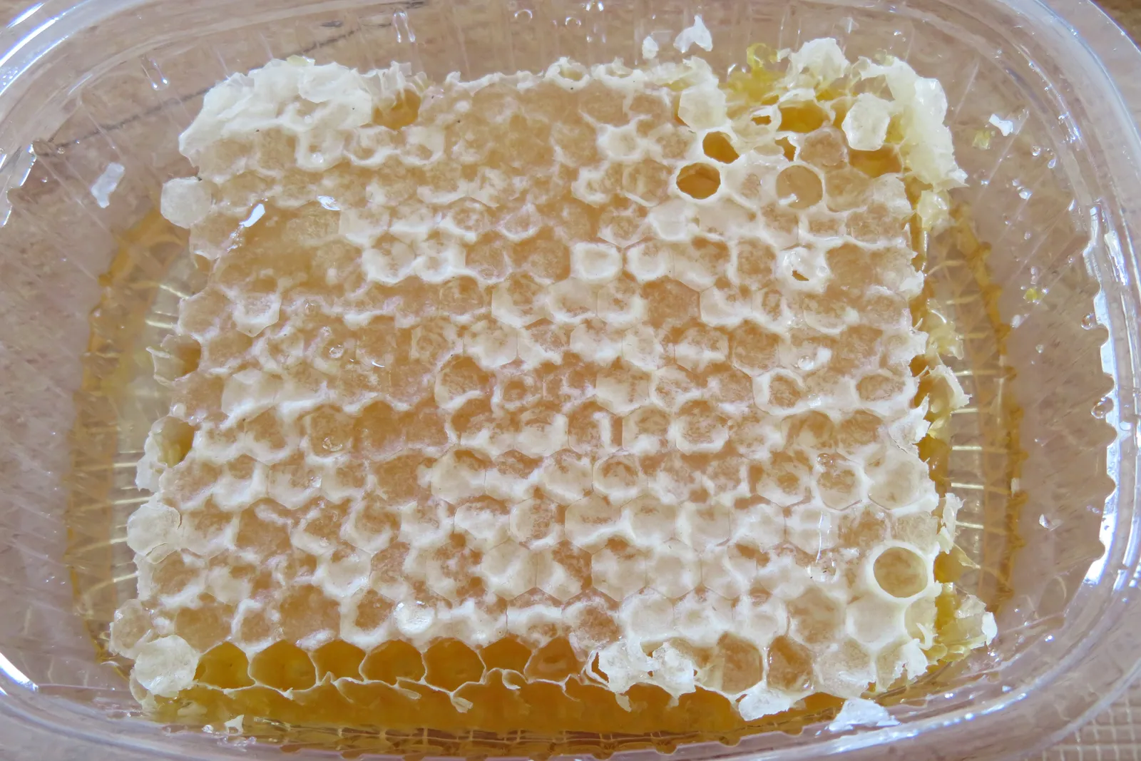 A slab of honeycomb in its tray