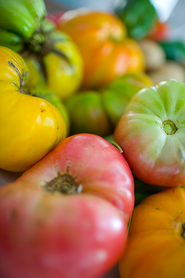 Heirloom tomatoes in green, yellow and red heritage varieties