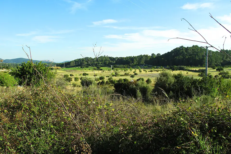 Farmland and wooded hills at Pla des Lli, near Es Capdellà in Calvià