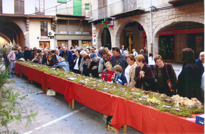 Long market stalls of wild mushrooms under red cloth as crowds browse in Cardona