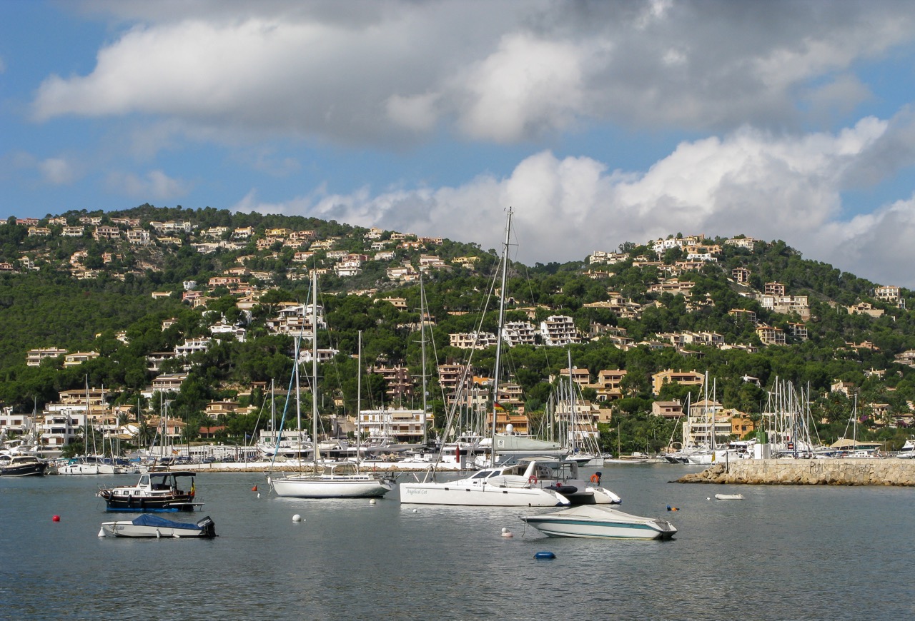 Sailboats and motor boats moored in the harbour of Port d'Andratx with the wooded hillside behind