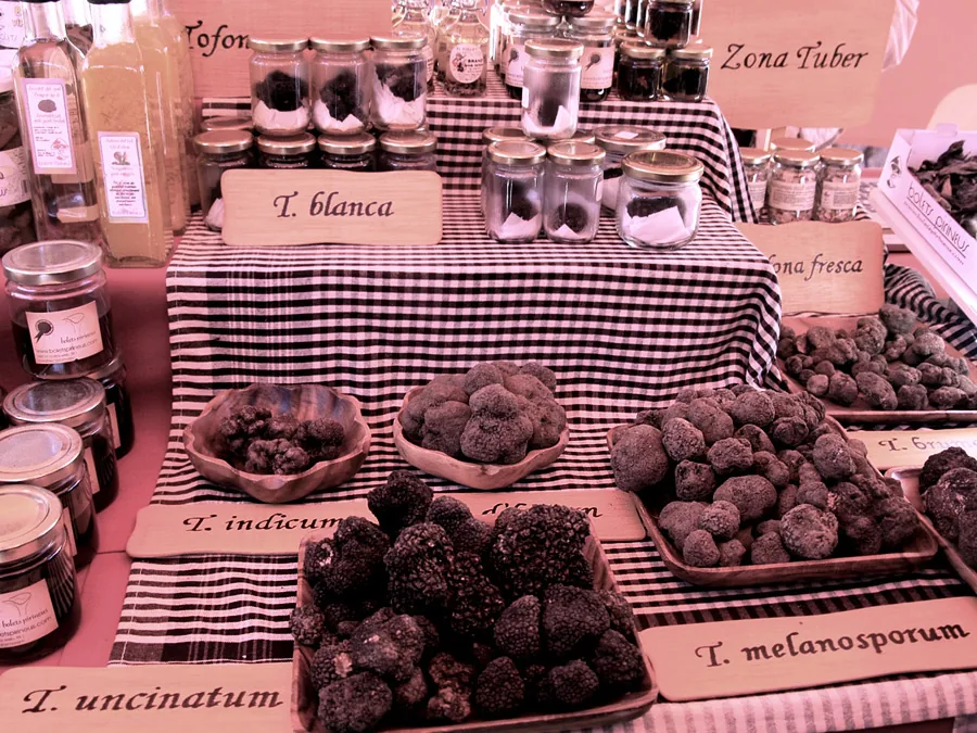 Truffle vendor stall at Fira de la Tòfona in Centelles