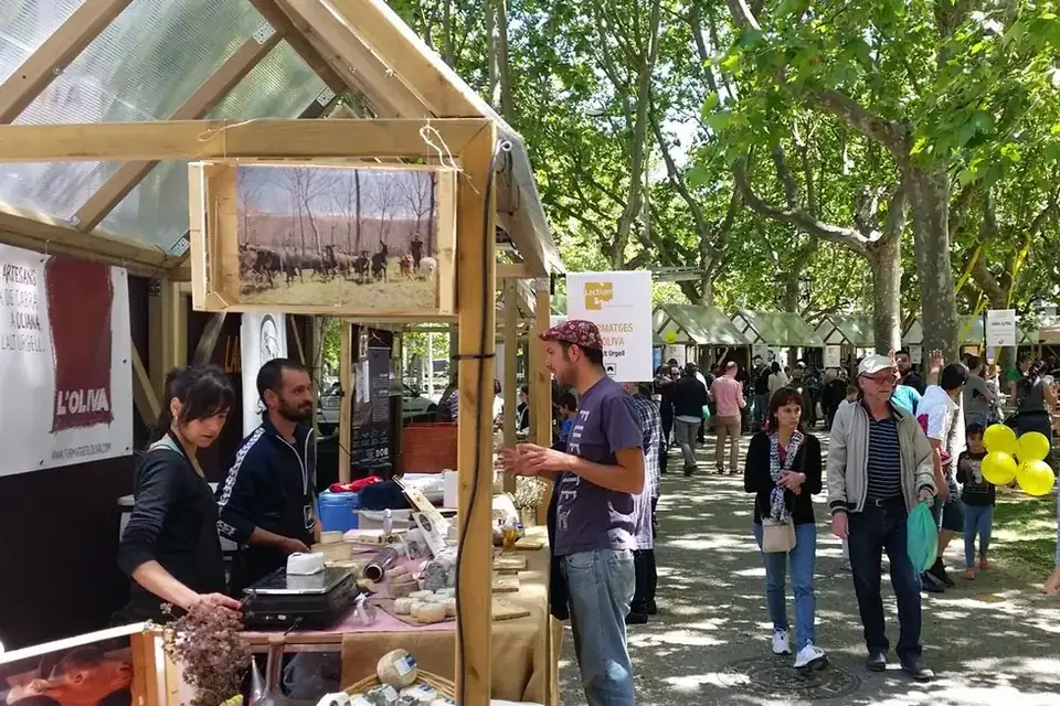 Cheese stalls at Lactium artisan cheese fair in Vic