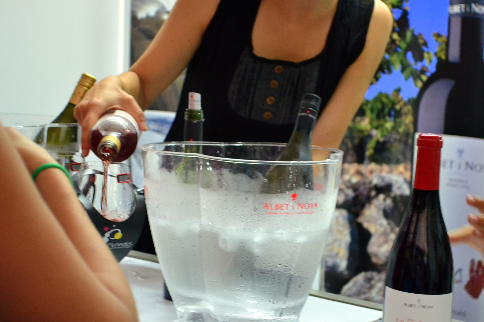 Wine poured into a glass beside ice-chilled bottles at a Catalan wine tasting