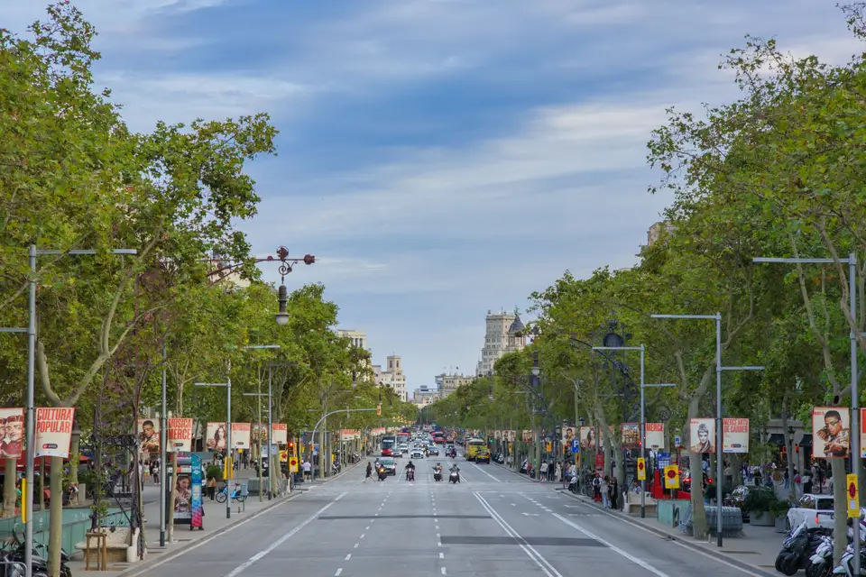 Passeig de Gràcia, the tree-lined avenue where Passeig de Gourmets is held