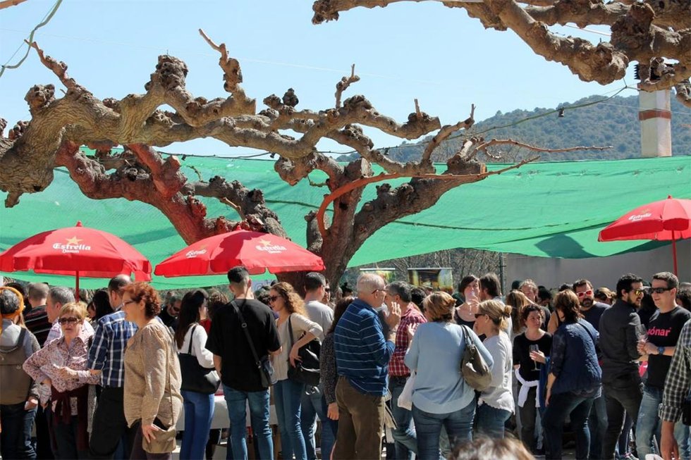 Wine tasting at Poboleda Vins in the Priorat