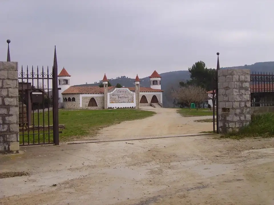 La Primavera del Cava tastings among the vineyards