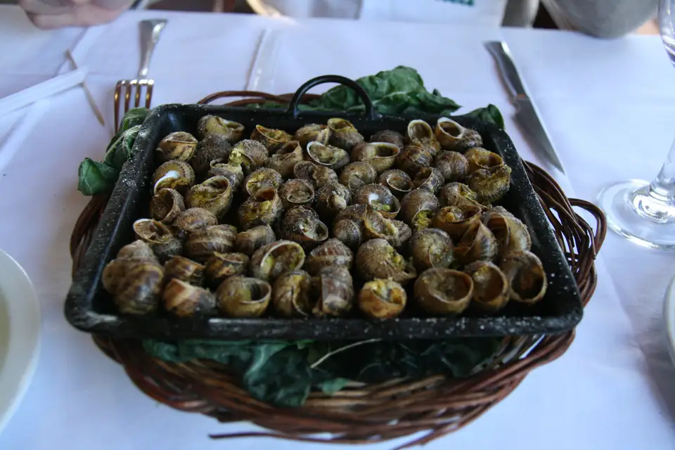 A tray of cargols a la llauna, snails roasted in a tin