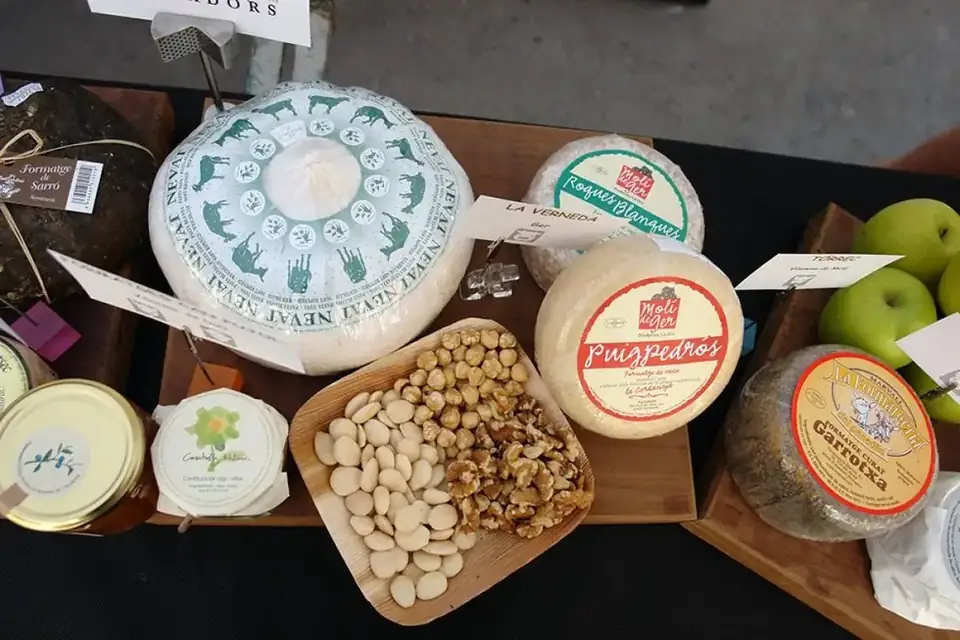 Artisan cheese wheels at the Vall de Ribes cheese fair