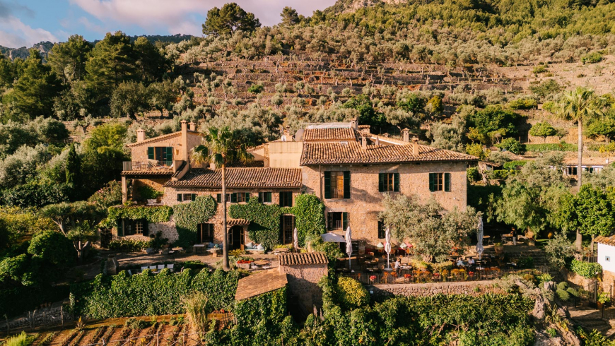Aerial view of the converted stone finca and its terraced hillside, surrounded by olive groves