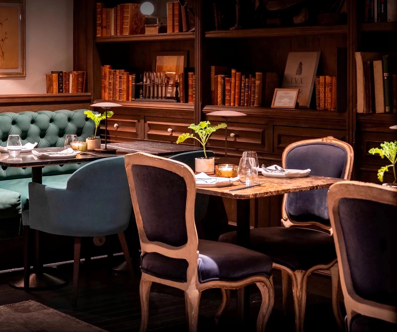 Botanic restaurant dining room with velvet chairs and dark wood bookshelves