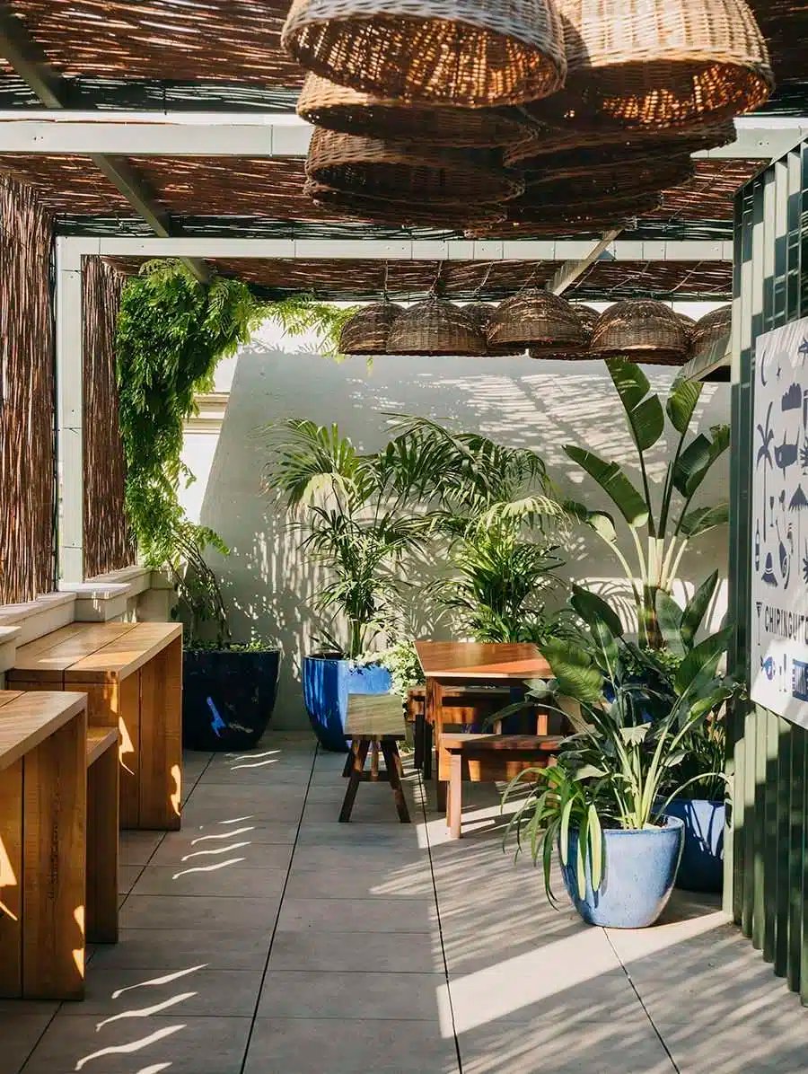 Rooftop terrace lounge with wicker pendant lamps, greenery and wooden benches