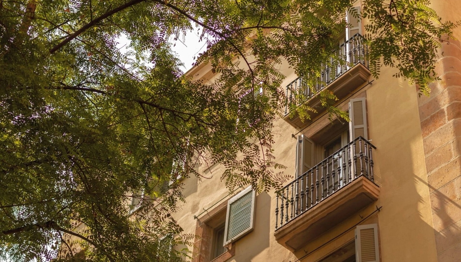 Facade looking up through tree branches at wrought-iron balconies