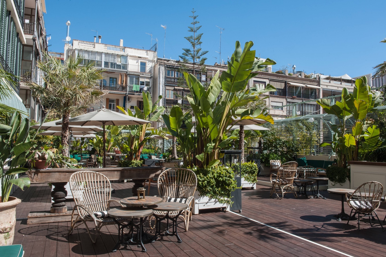 Rooftop terrace lounge with rattan chairs, umbrellas and tropical plants