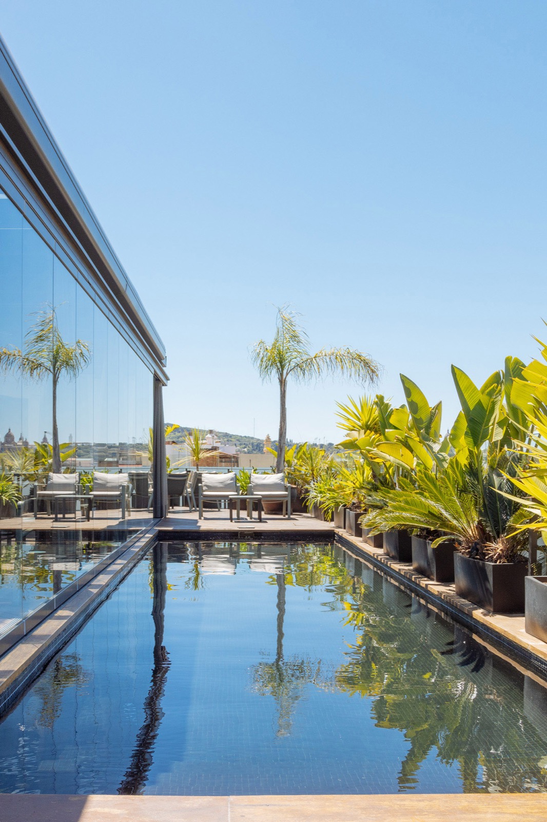Rooftop pool lined with potted palms and lounge chairs over the rooftops