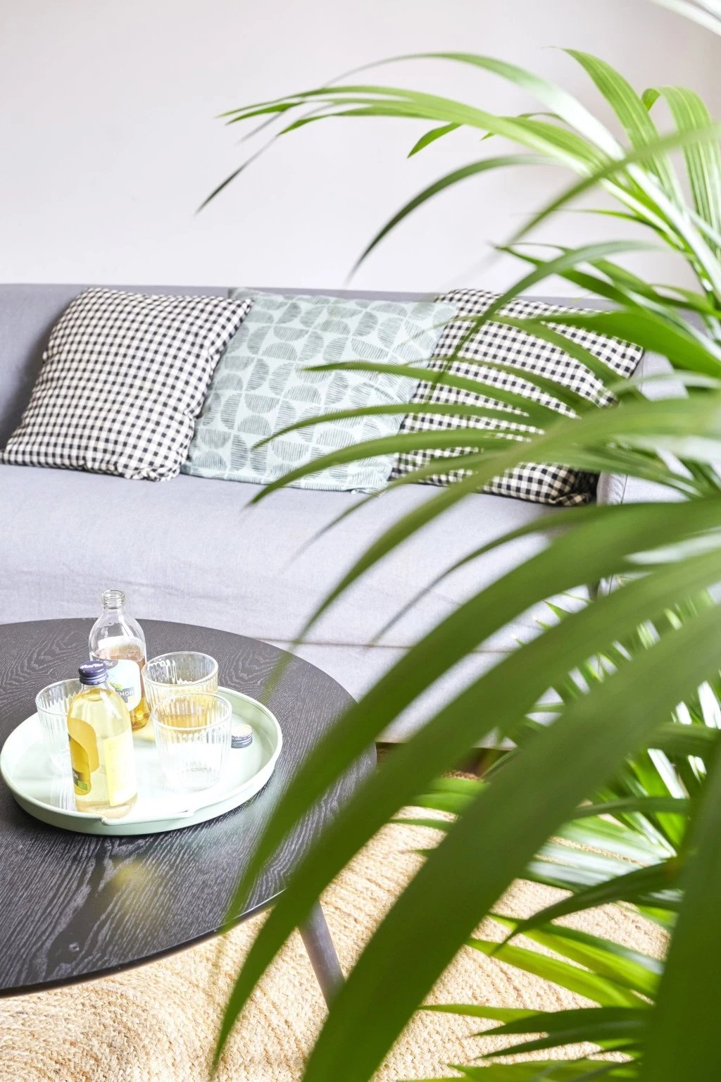 Corner of the lounge at Eco Boutique Hostal Grau with a grey sofa, patterned cushions, a palm and drinks on a side table
