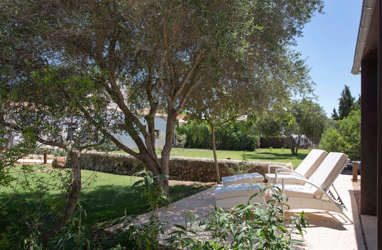 Garden grounds at Fontsanta Hotel with sun loungers under an olive tree beside a stone wall