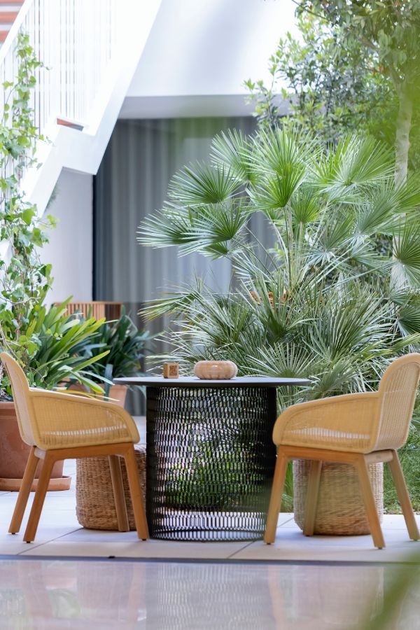 Courtyard terrace at HM Palma Blanc with rattan armchairs, a round table and potted palms against a white staircase.