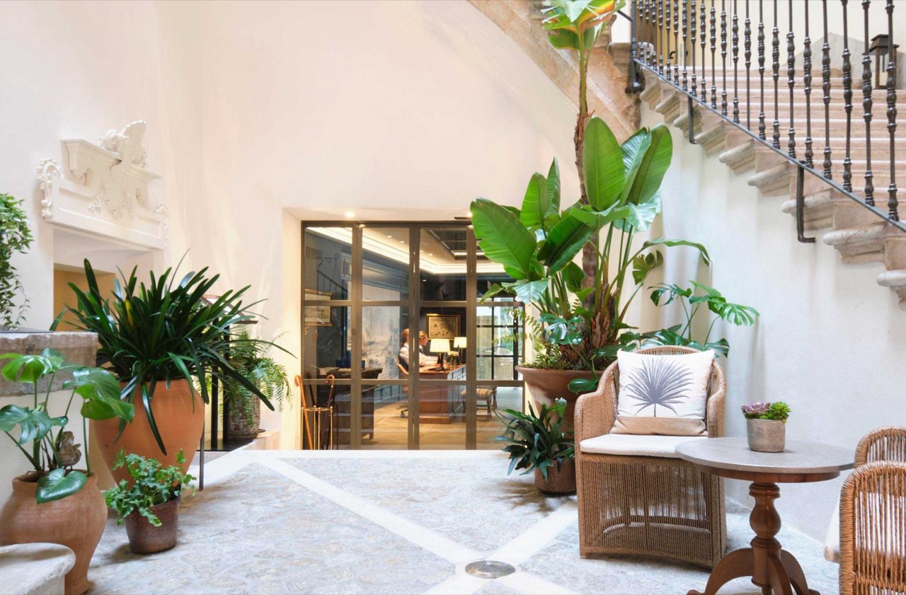 Plant-filled lobby entrance with a stone staircase at Hotel Antigua Palma Casa Noble