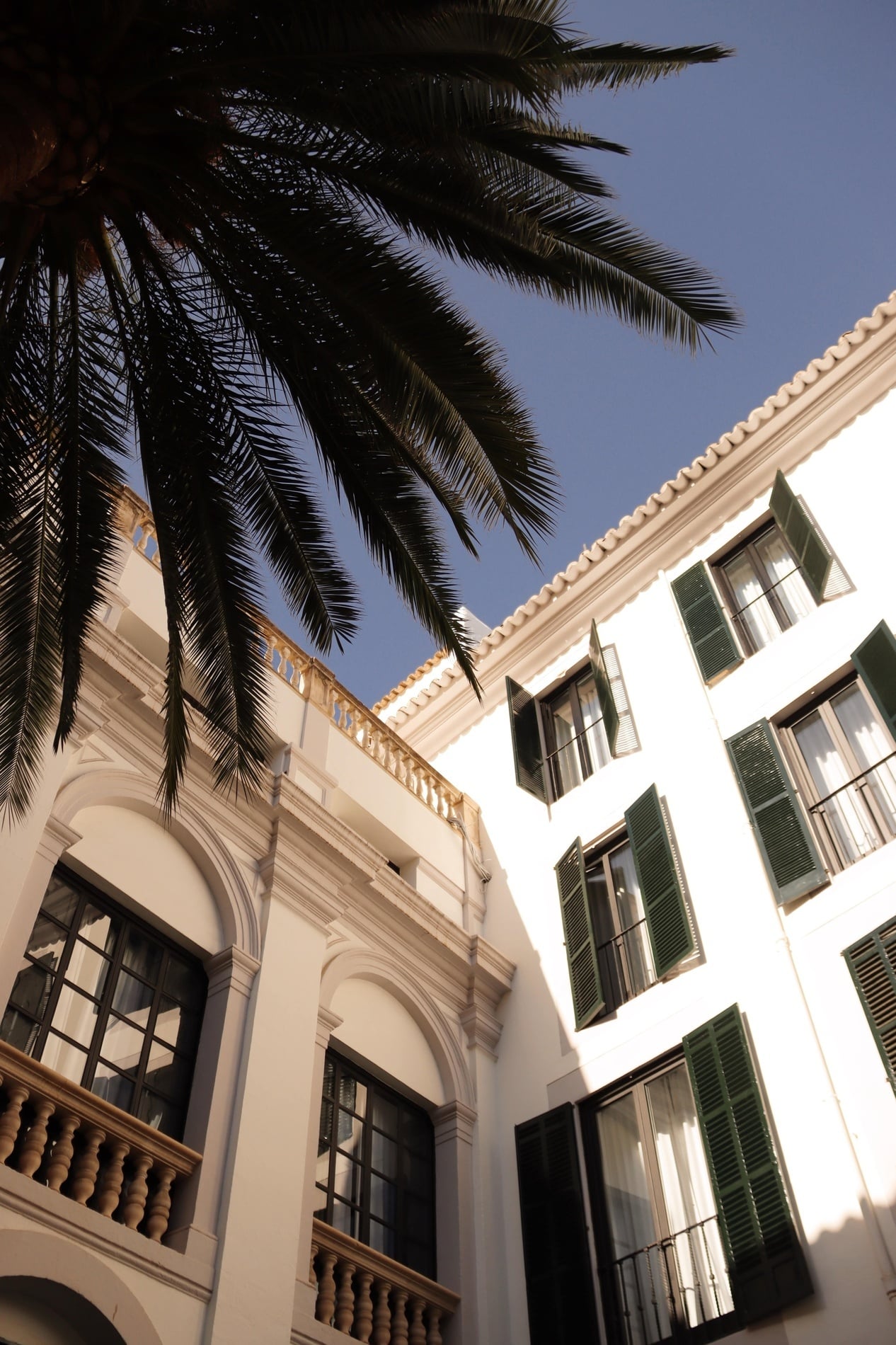 White facade of Hotel Born with green wooden shutters and an overhanging palm tree