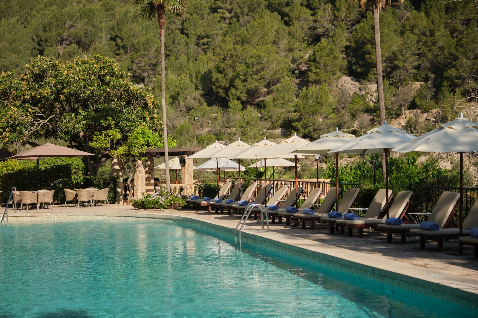 Pool deck lined with sunbed loungers and cream umbrellas, framed by pine-covered hills