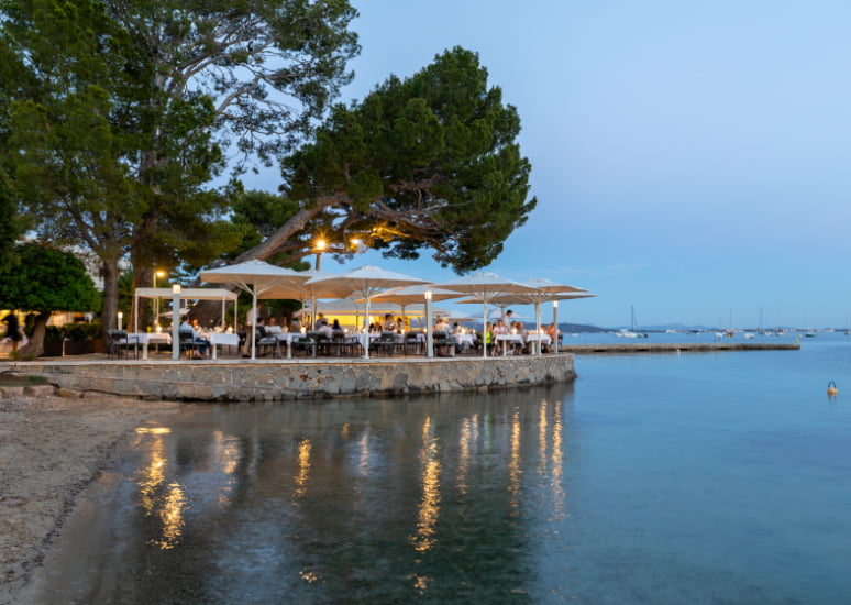 La Terrassa restaurant's seafront tables under white umbrellas and pine trees at dusk, with the bay and moored boats behind