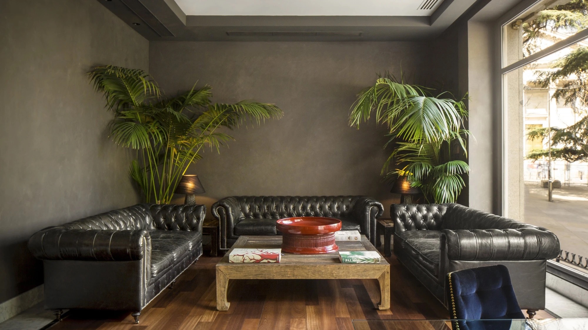 Three black tufted chesterfield sofas around a low wooden table with a red lacquer bowl, flanked by kentia palms beside a street-facing window.