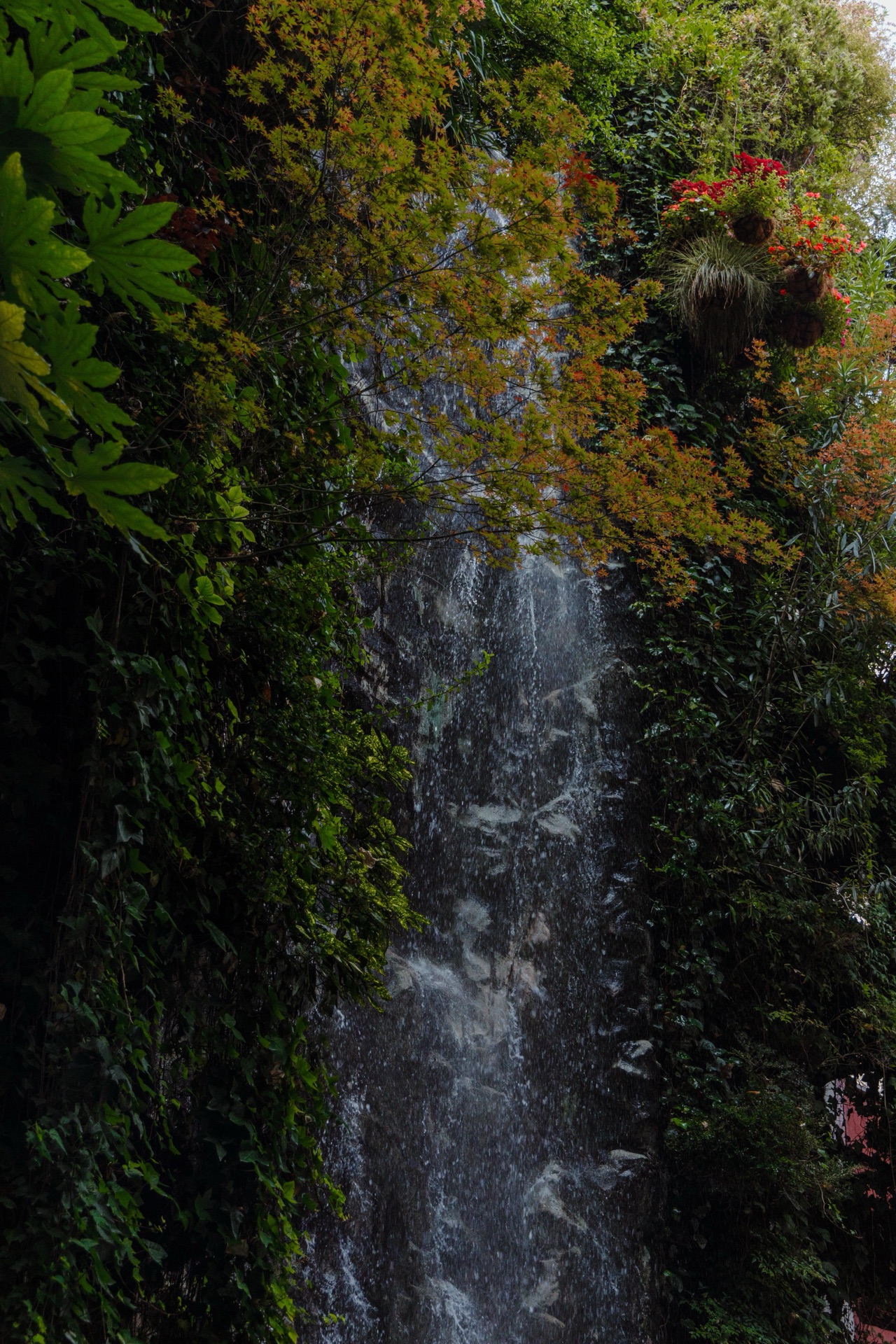 A close-up of the hotel's indoor hanging garden, with water trickling down a rock wall surrounded by dense green foliage and red flowers.