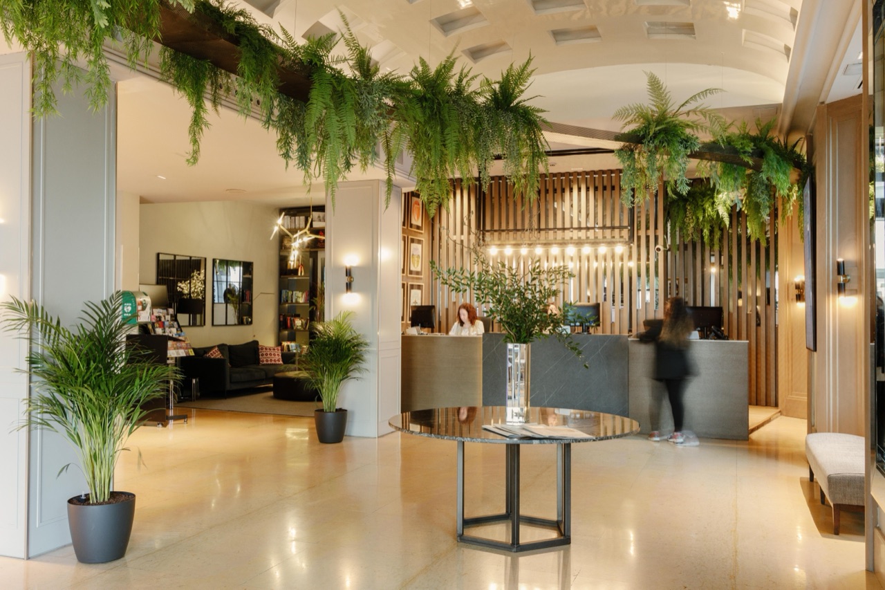 The hotel lobby with hanging fern plants suspended from the ceiling above a wood-slat reception desk and marble floor.