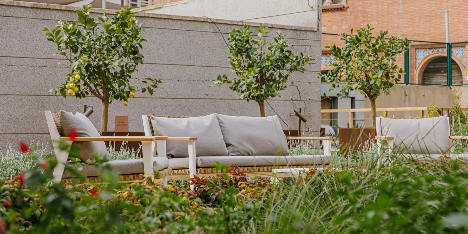 Rooftop garden terrace with outdoor seating among lemon trees