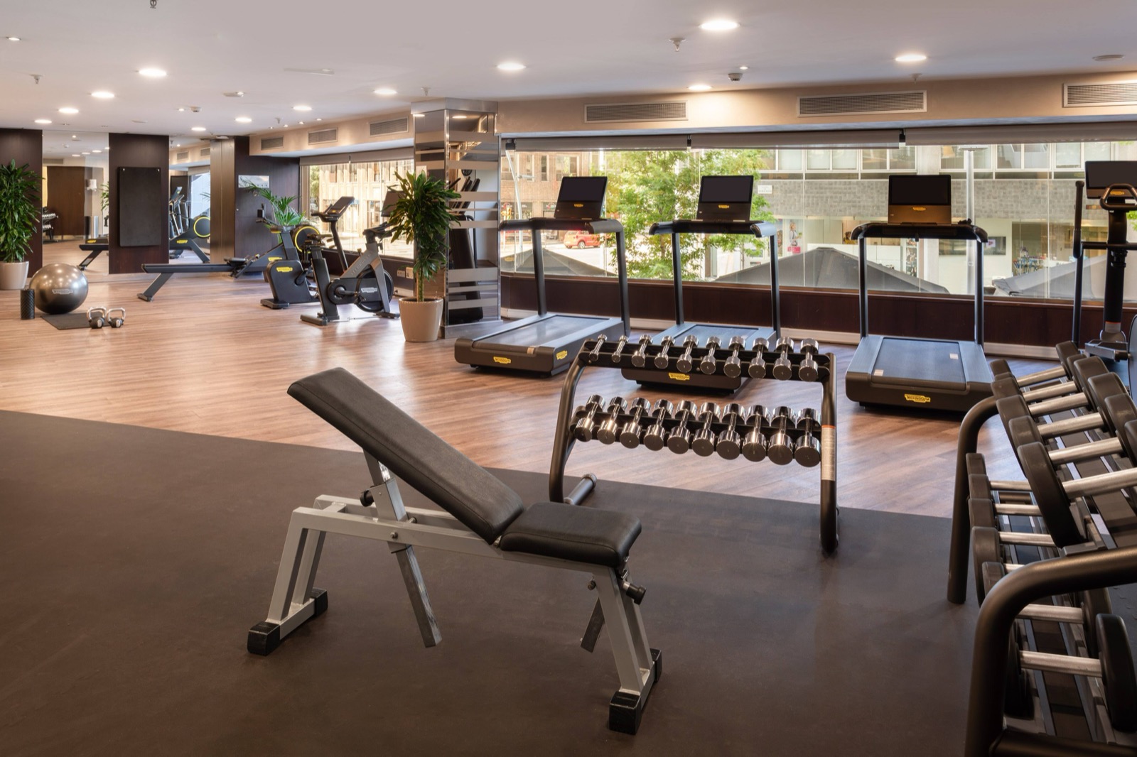 Hotel gym with treadmills, dumbbell racks and a weight bench