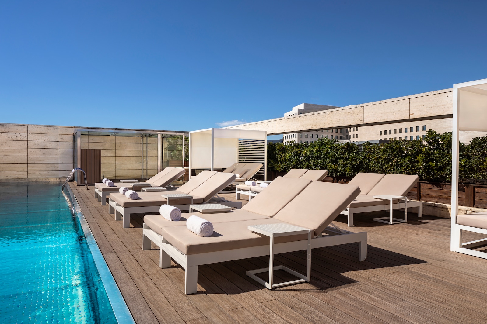 Rooftop pool deck with loungers and hedge screening