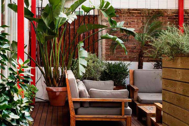 Terrace garden at Praktik Rambla with wood lounge chairs, potted bird-of-paradise plants, and an exposed brick wall