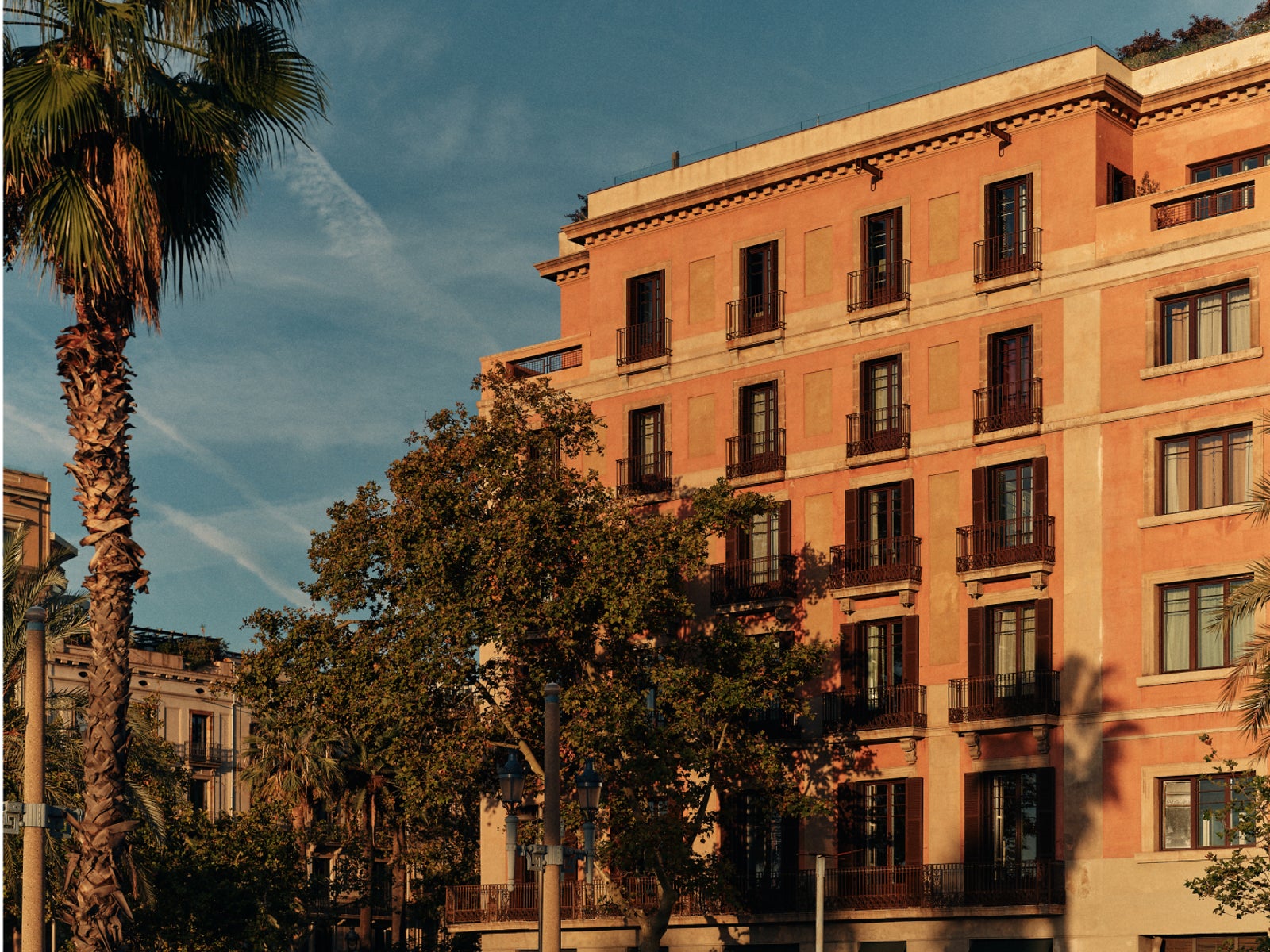 Exterior of the historic building with a palm tree at golden hour