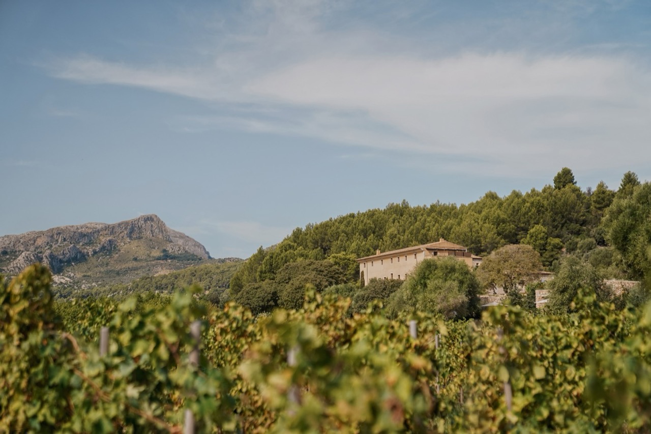 Son Brull's monastery building seen across its vineyard, with the Serra de Tramuntana mountains behind