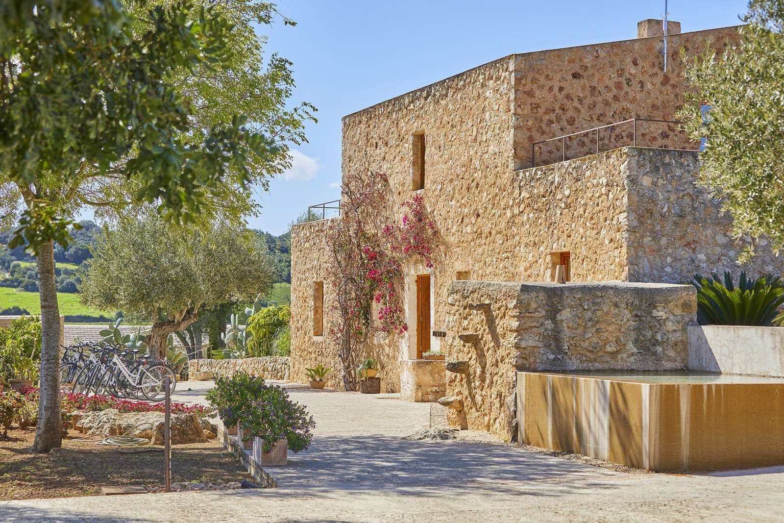 Honey-coloured stone finca building with a bougainvillea-covered wall, olive trees and a courtyard