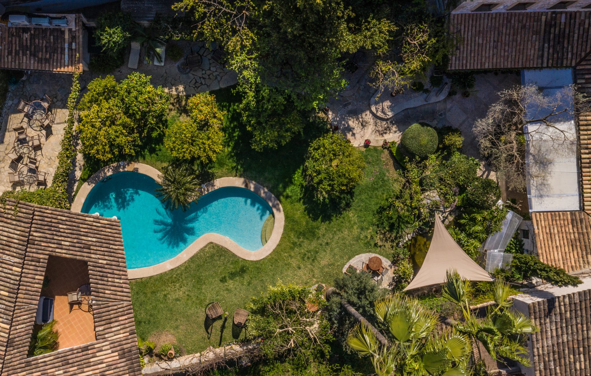 Looking down on the curved pool set in a walled garden between the tiled roofs of the old houses, with palms and a shade sail
