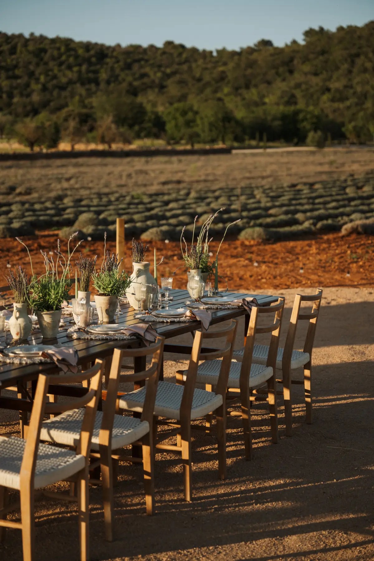 Outdoor dining table set among the lavender fields at The Lodge Mallorca