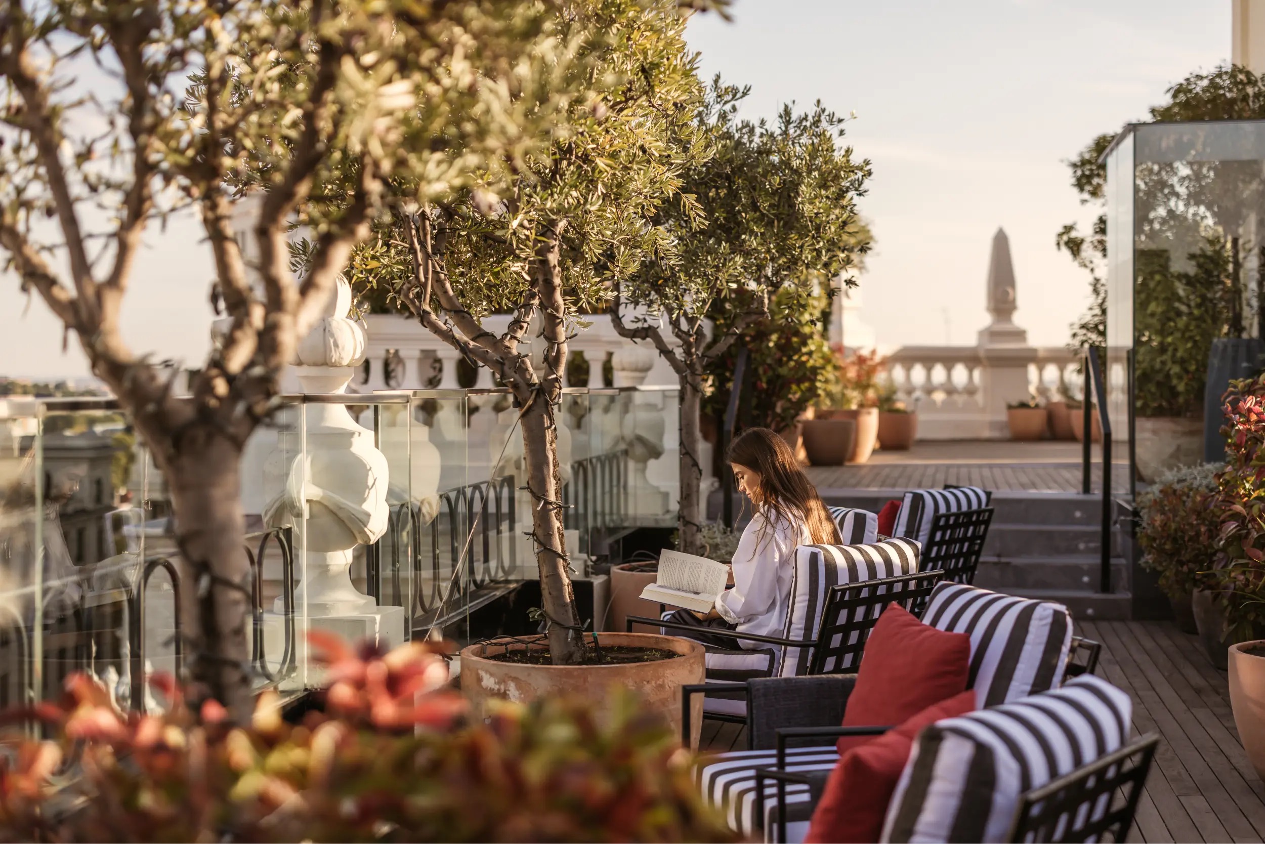 The Principal's rooftop terrace at golden hour, olive trees in terracotta pots and striped seating above the rooftops.