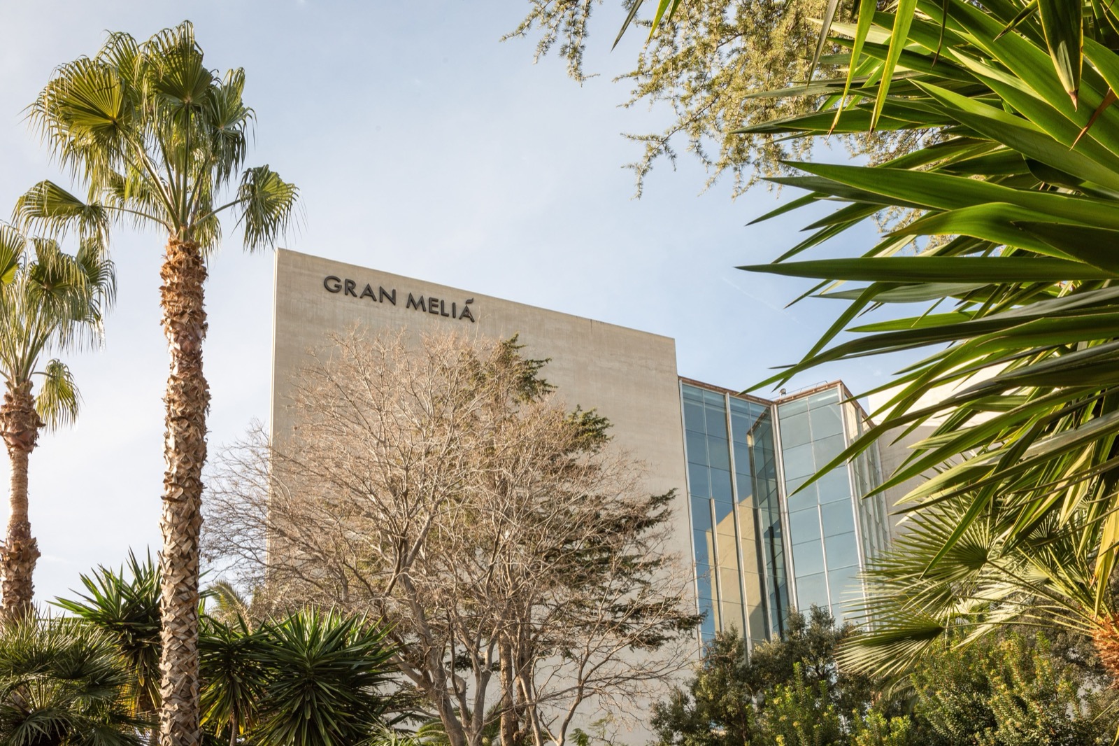 Gran Meliá building facade with signage, seen through palm trees