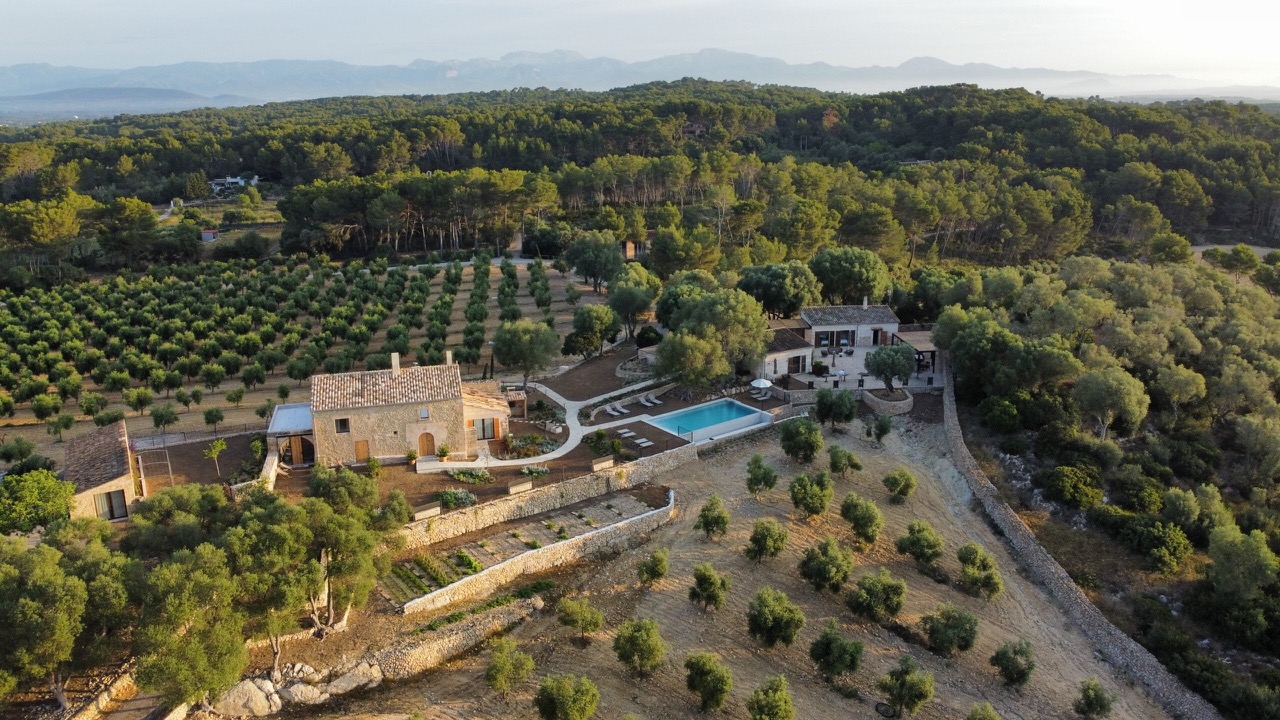 Aerial view of the Treurer estate's stone farmhouse, pool, and surrounding olive groves