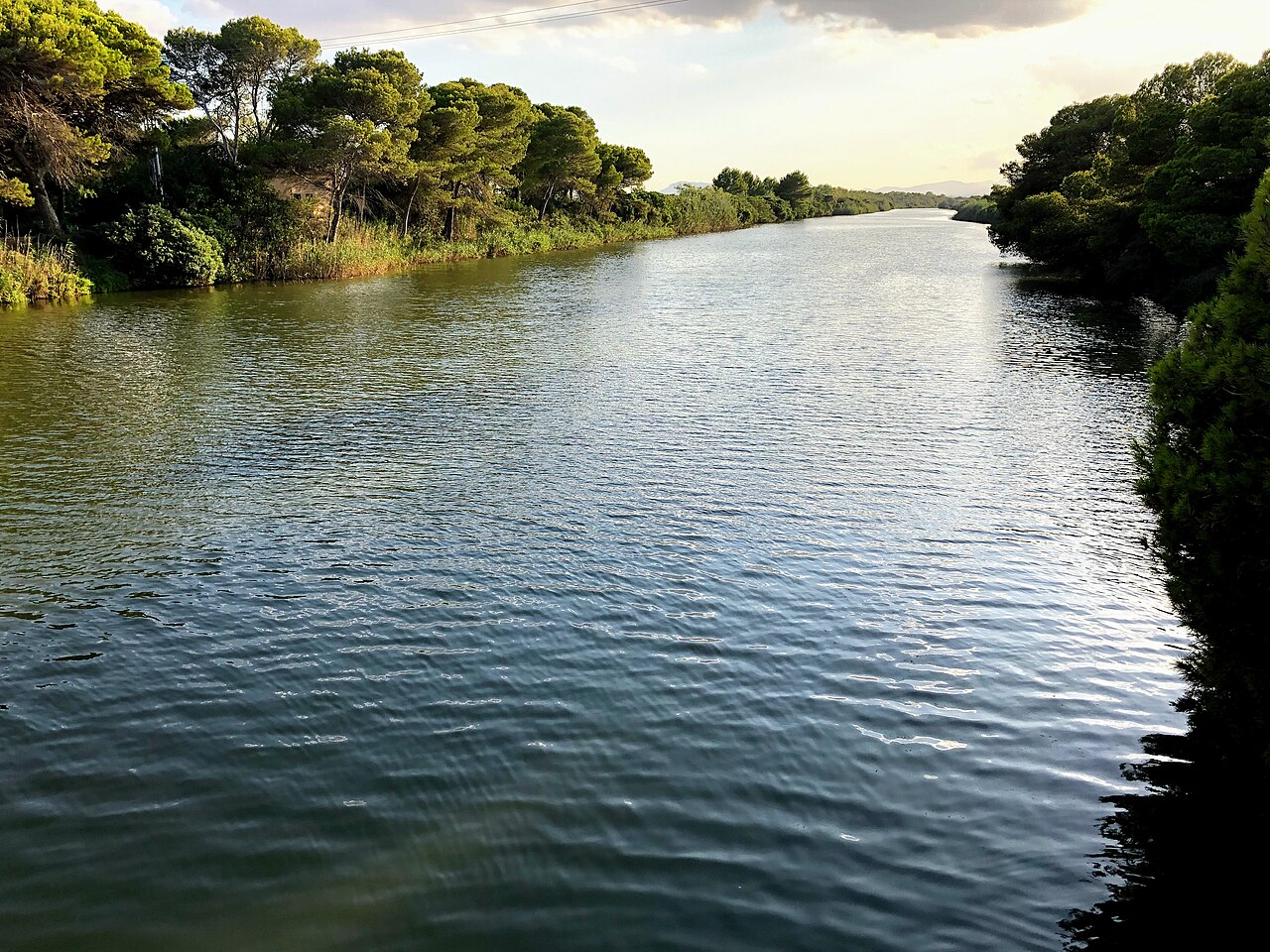 Tree-lined water channel through S'Albufera Natural Park wetlands, Mallorca, Spain