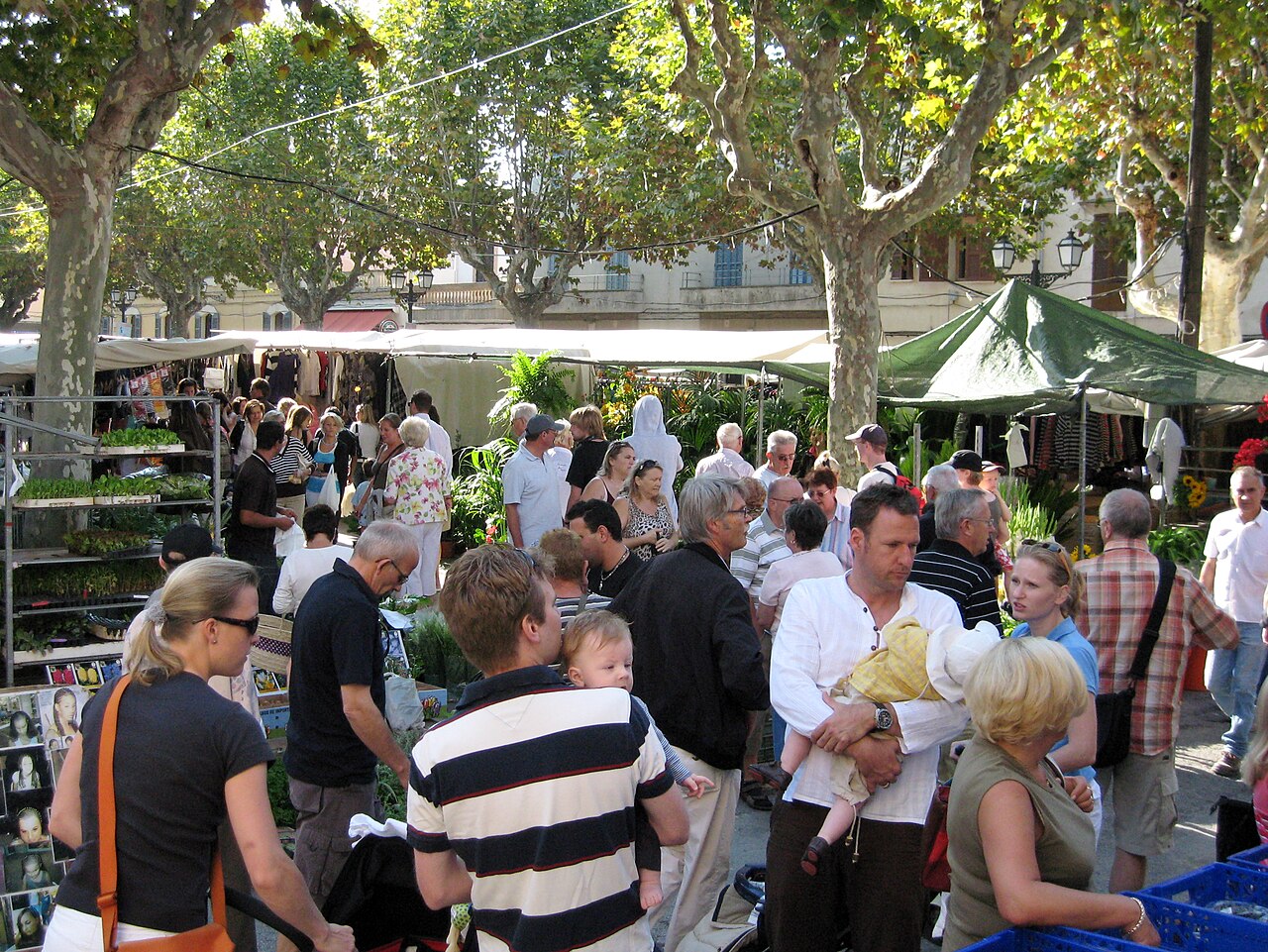 Stalls under plane trees at the Artà weekly market