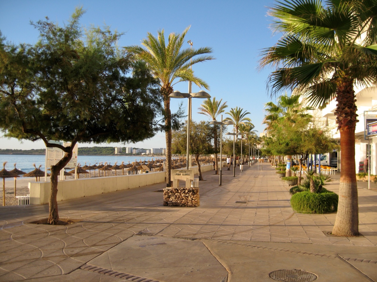 Palm-lined Passeig Joan Llinas promenade along the Cala Millor seafront